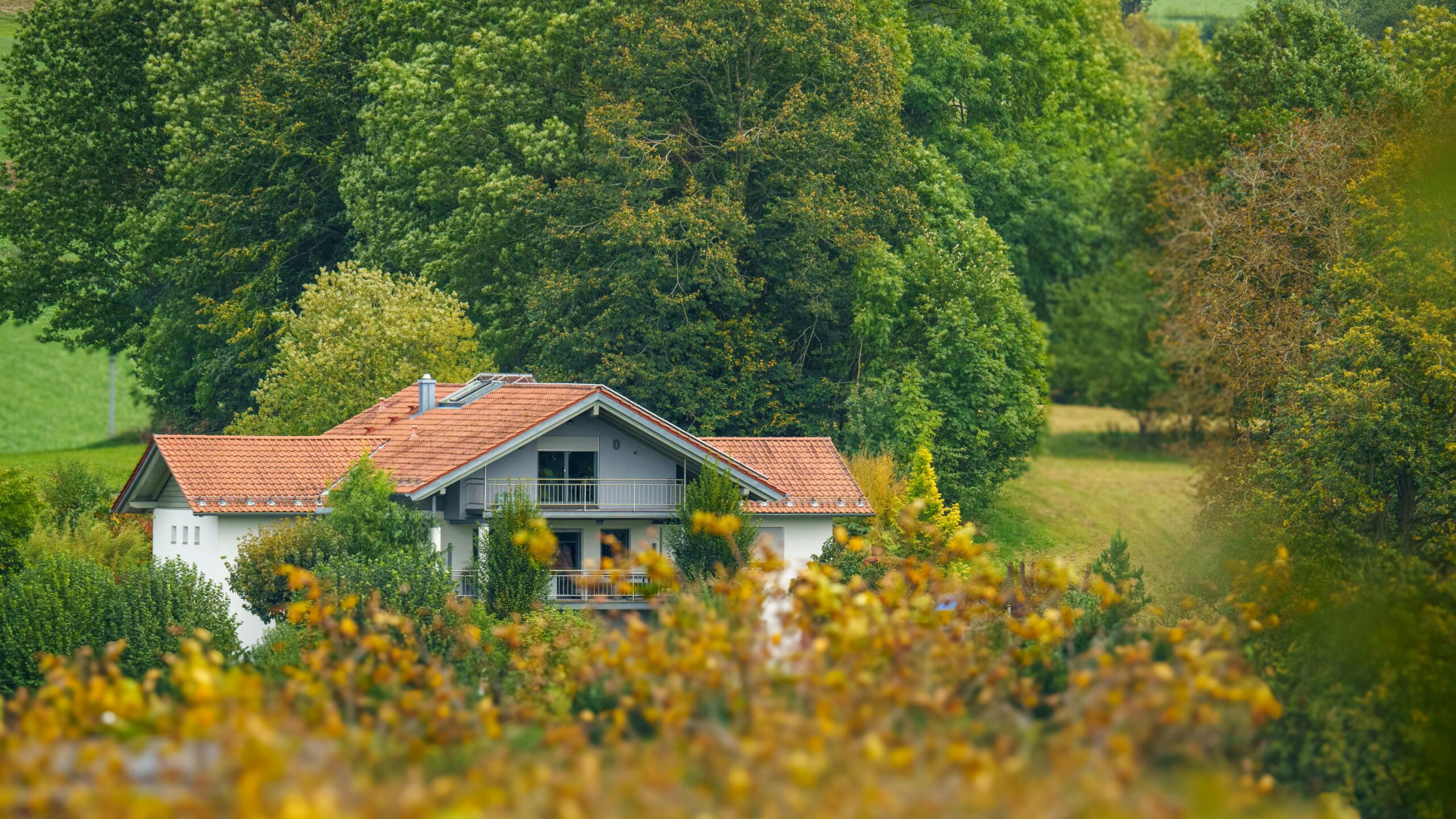 ©pexels.com-28999405/