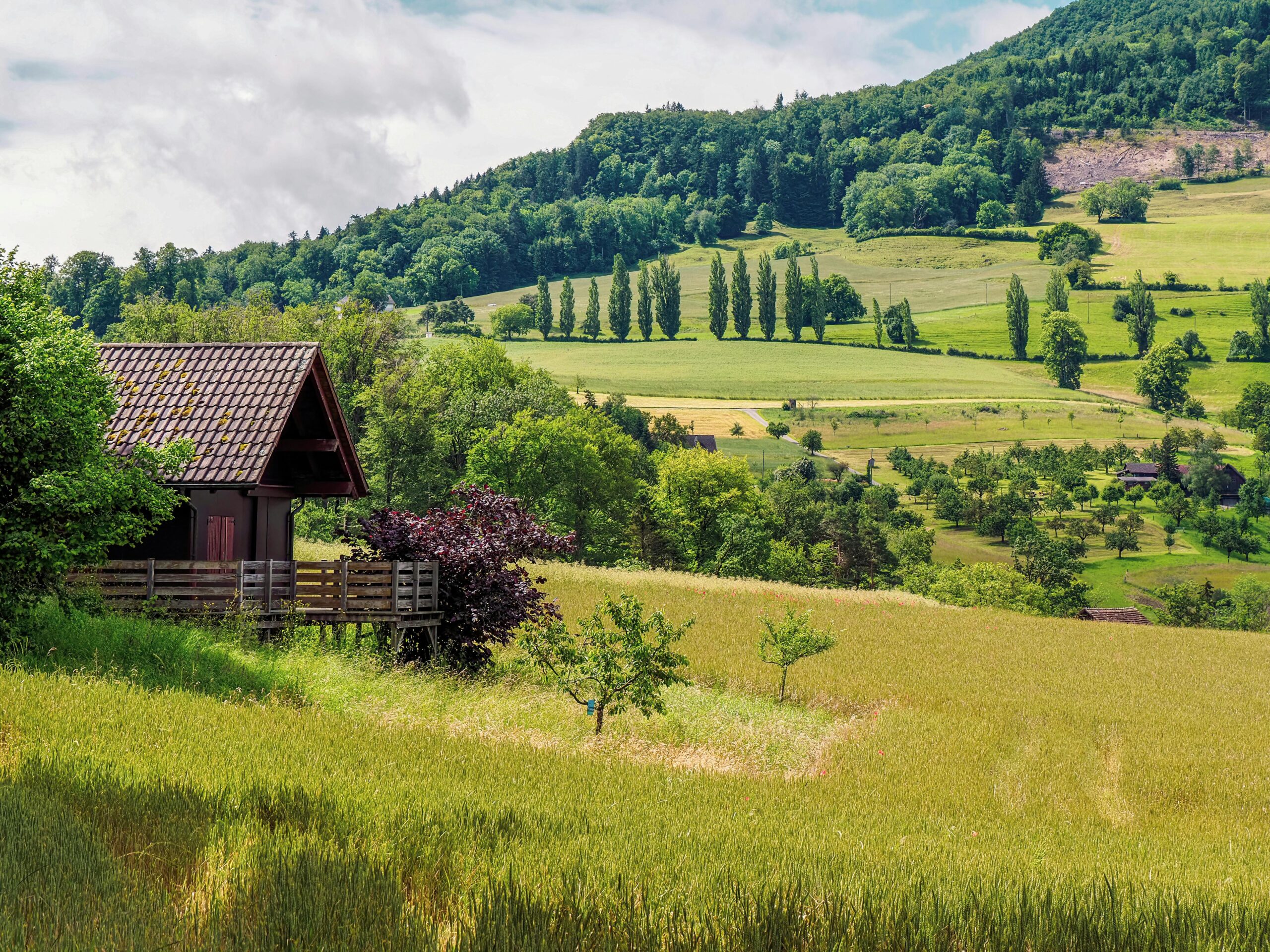 ©pexels.com-26762204/